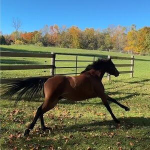 Meet your Posher, Jade